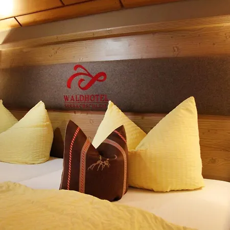 Waldhotel Seebachschleife Hotell Bayerisch Eisenstein