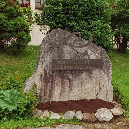 Hotel Waldhotel Seebachschleife 3*