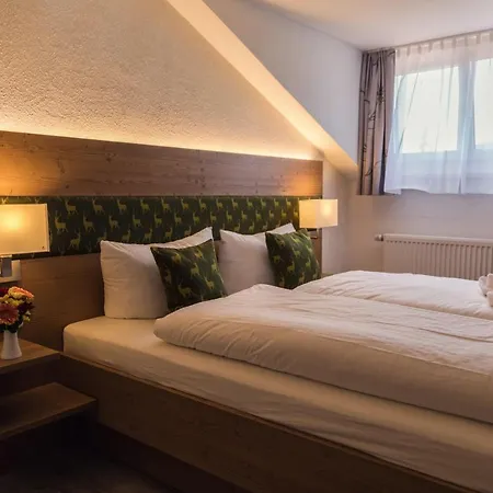 Waldhotel Seebachschleife Bayerisch Eisenstein