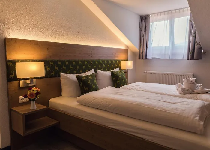 Waldhotel Seebachschleife Bayerisch Eisenstein