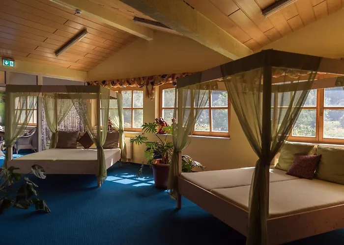 Waldhotel Seebachschleife Ξενοδοχείο 3*
