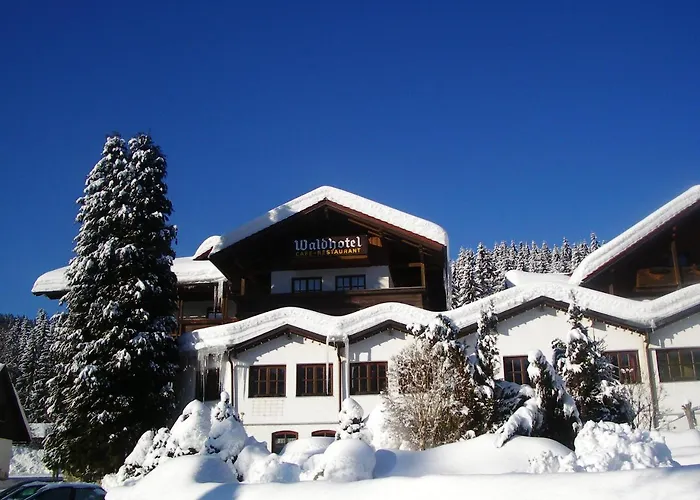 Hotel Waldhotel Seebachschleife