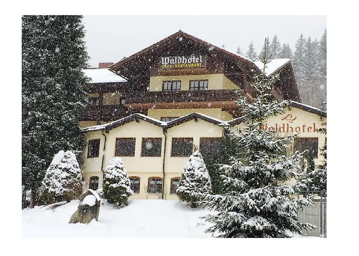 Ξενοδοχείο Waldhotel Seebachschleife