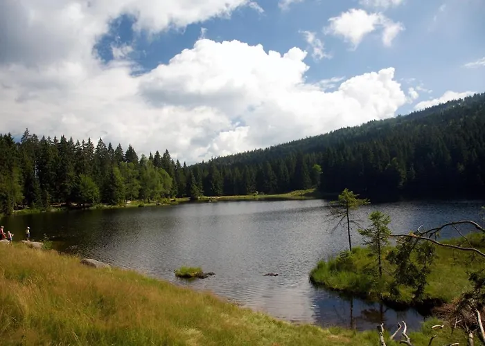 Ξενοδοχείο Waldhotel Seebachschleife 3*